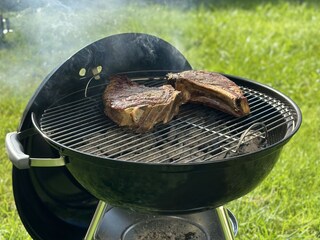 Grillen in der Sonne