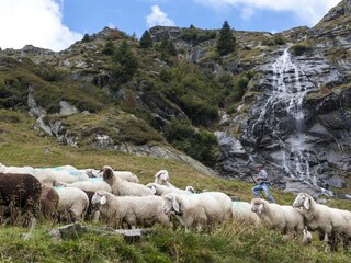 Ferienwohnung Partschins Umgebung 19