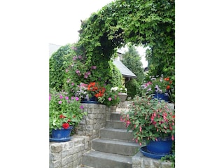 Ferienwohnung Paradies im Grünen