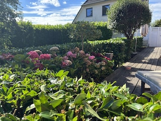 Terrasse und Garten
