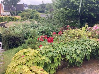 Vakantiehuis Helsingør Buitenaudio-opname 5