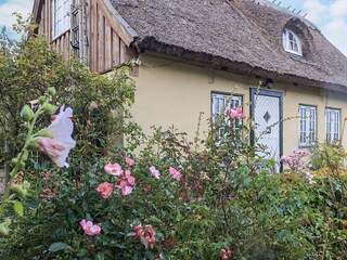 Holiday house Helsingør  8