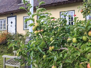 Holiday house Helsingør  3