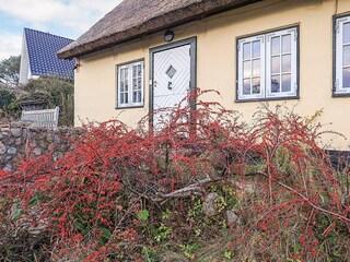 Ferienhaus Helsingør  24