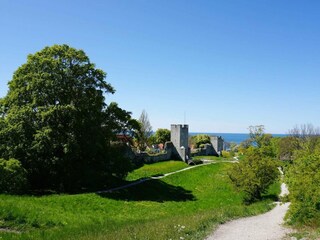 Vakantiehuis Visby  12