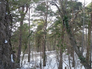 Ferienhaus Visby  15