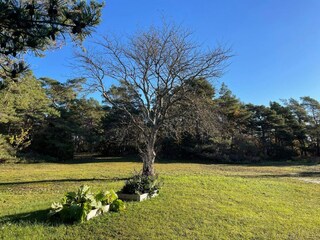 Vakantiehuis Visby Buitenaudio-opname 6