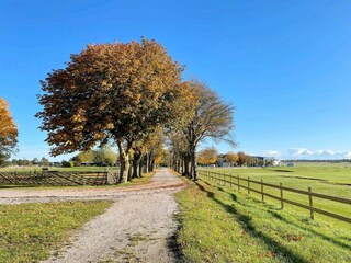 Vakantiehuis Visby  22