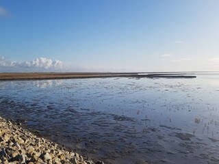 Vakantiehuis Dagebüll Omgeving 23