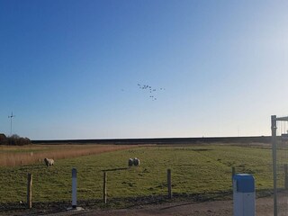 Casa de vacaciones Dagebüll Entorno 33