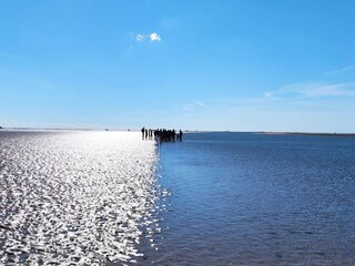 Ferienhaus Dagebüll Umgebung 26