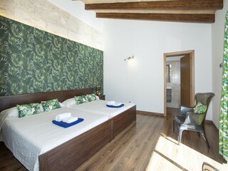 Villa Sa Pobla Caratteristiche 18