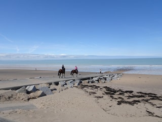 Holiday house Granville Environment 3