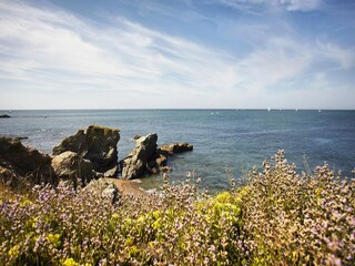Maison de vacances Saint-Hilaire-de-Riez Environnement 23