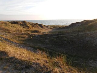 Vakantiehuis Saint-Hilaire-de-Riez Omgeving 22