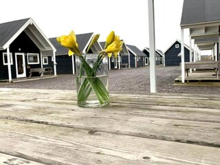 Vakantiehuis Thyborøn Buitenaudio-opname 2