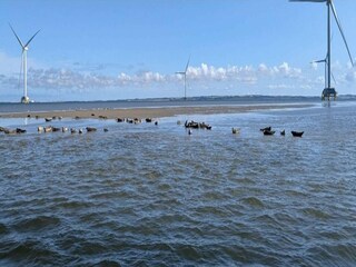 Ferienhaus Thyborøn Außenaufnahme 3