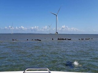 Ferienhaus Thyborøn Außenaufnahme 23