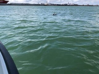 Ferienhaus Thyborøn Außenaufnahme 31