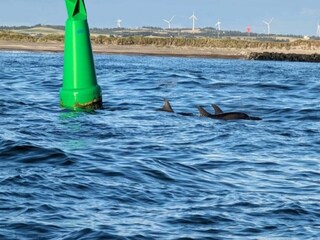 Ferienhaus Thyborøn Außenaufnahme 27
