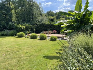Mediterraner Garten mit Blick auf die Sonnenterrasse