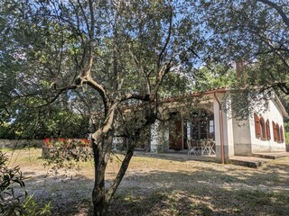 Ferienhaus Paganico Außenaufnahme 3