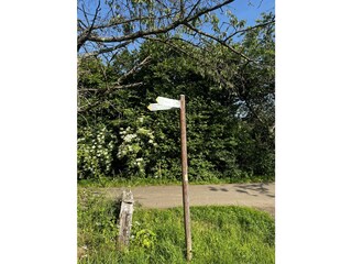 Wanderwege direkt um die Ecke