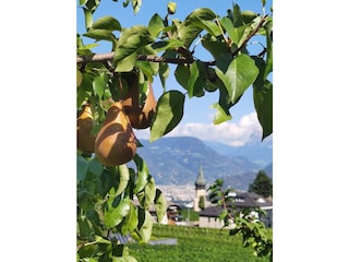 Apartamento Eppan Grabación al aire libre 7