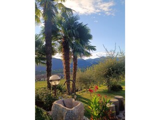 Apartamento Eppan Grabación al aire libre 12