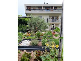 Gemüsegarten