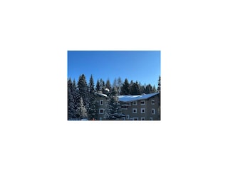 Ferienwohnung Lenzerheide Außenaufnahme 5