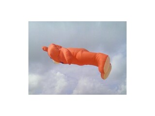 Casa de vacaciones Julianadorp Entorno 23