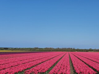 Casa per le vacanze Julianadorp Ambiente 28