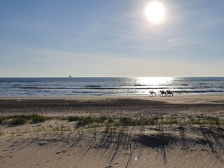 Holiday house Julianadorp Environment 33