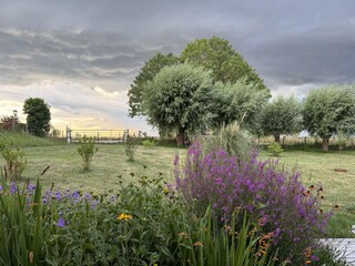 Front garden west side