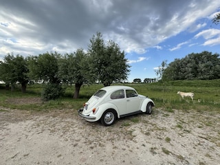 Eigener Parkplatz für Gäste