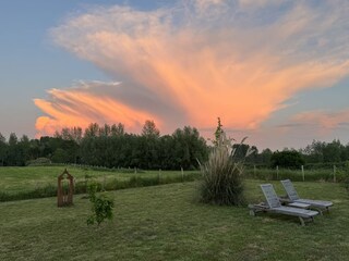 Back garden beautiful skies