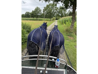 Kutschfahrten sind buchbar