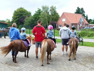 Ponyreiten  direkt auf dem Hof