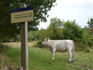 Vakantiehuis Zorgvlied Omgeving 31