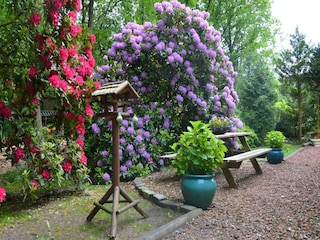 Holiday house Zorgvlied Outdoor Recording 2