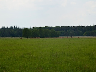 Holiday house Zorgvlied Environment 35