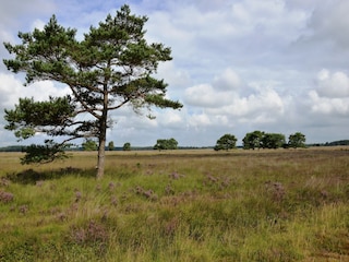 Holiday house Zorgvlied Environment 31