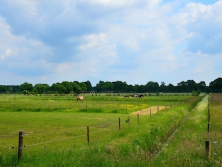 Holiday house Zorgvlied Environment 36