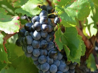 Apartamento Alès Entorno 21