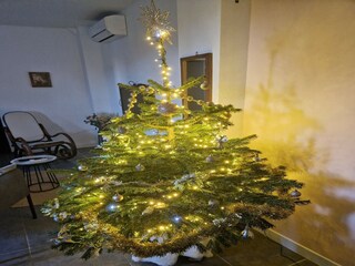 Appartement Alès  28