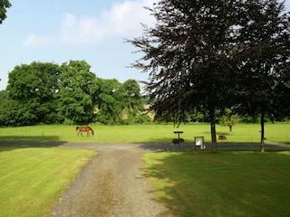 Holiday house Baguer-Morvan Outdoor Recording 13