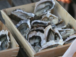 Vakantiehuis Baguer-Morvan  37