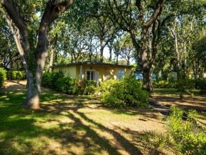 Ferienpark Bungalow in San Vincenzo mit Gemeinschaftspool - San Vincenzo - image1