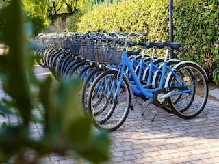Ferienpark San Vincenzo  29